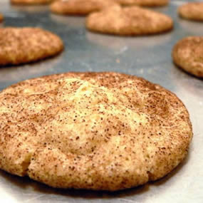 Snickerdoodle